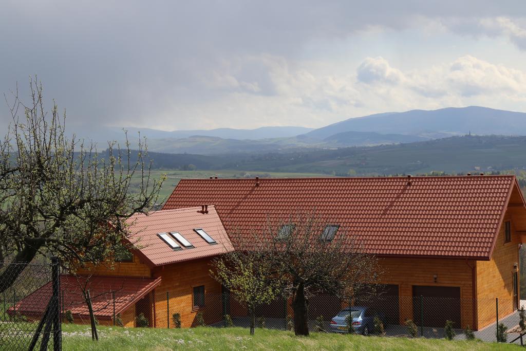 Fantastic View Vineyard Beskid Mountains Gruszow  Exterior foto